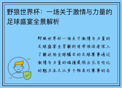 野狼世界杯：一场关于激情与力量的足球盛宴全景解析